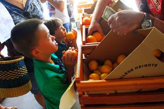 Ashton Bonds, left, and Noah Stratton pick up some oranges at the Fremont East Entertainment District (FEED) Farmers' Market Thursday, July 14, 2011.