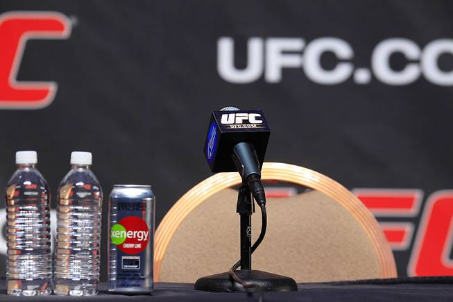 UFC 137 News Conference