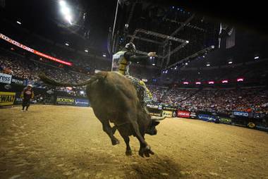 Bull rider Mike Lee leaves the chute during the Professional Bull Riders World Finals at the Thomas and Mack Center Sunday, Oct. 30, 2011.