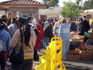Thousands of men and women wait in line for turkeys, canned foods and pies at the Catholic Charities turkey box giveaway Saturday, Nov. 19, 2011.