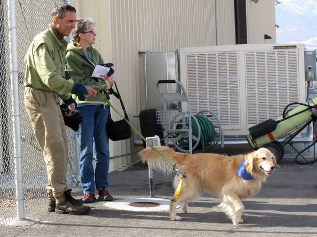 Gregory Rudowsky and his dog, Tiki, stand outside Metro Police's Search and Rescue headquarters after the two were rescued by a helicopter from Mount Charleston, where they spent a night in four feet of snow.