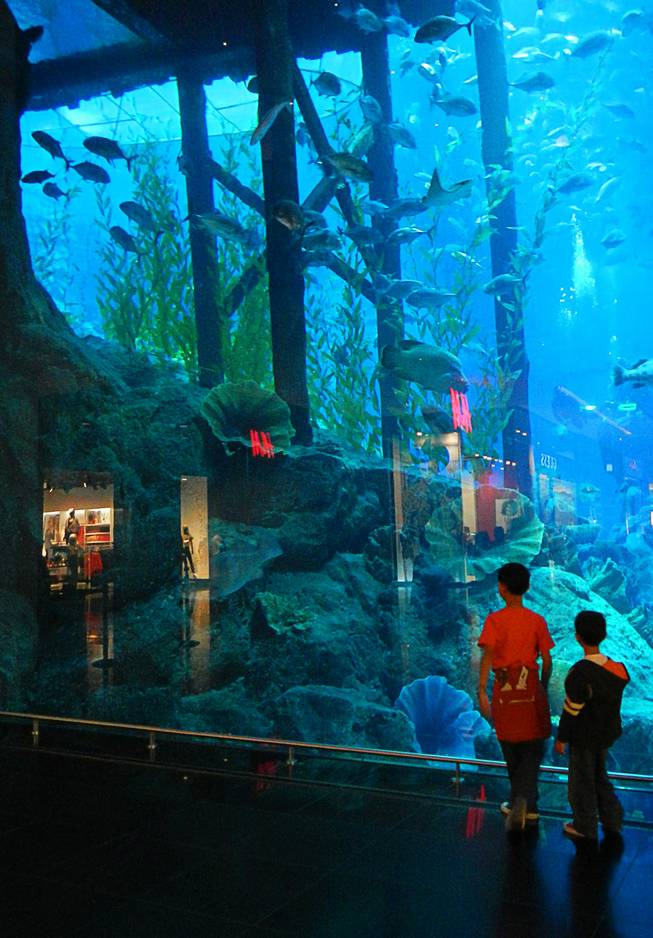 In Dubai, United Arab Emirates, two children stop to marvel at the aquarium in the Dubai Mall. December  2011.