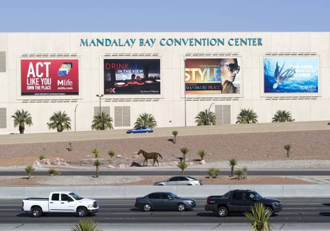 A view of the Mandalay Bay Convention Center Tuesday, March 13, 2012. 
