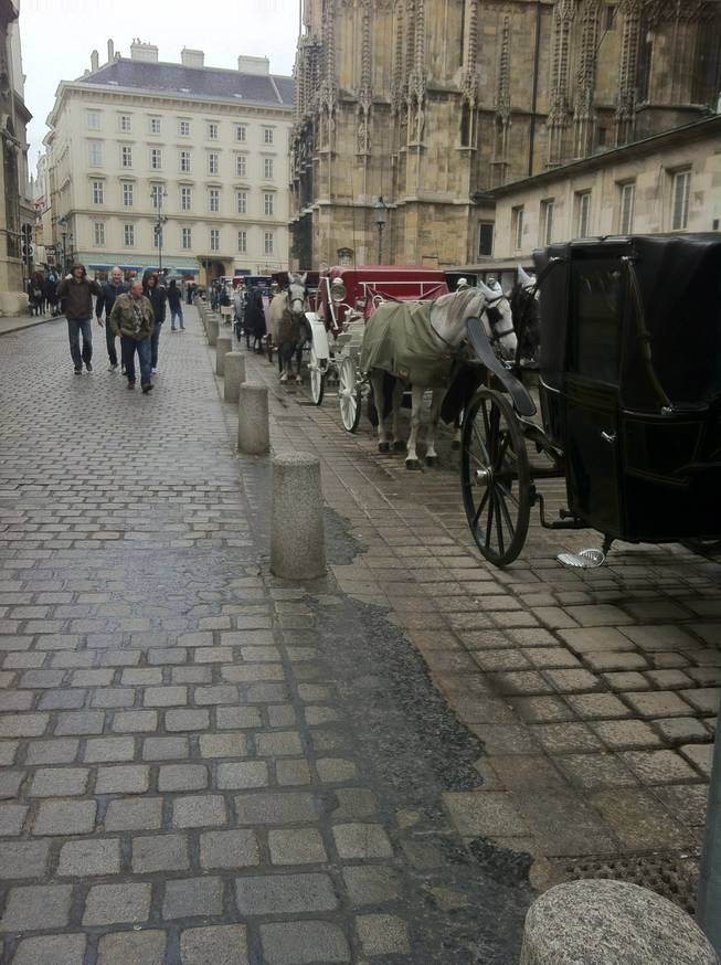 Carriages lined up along the streets in Stephensplatz in Vienna.