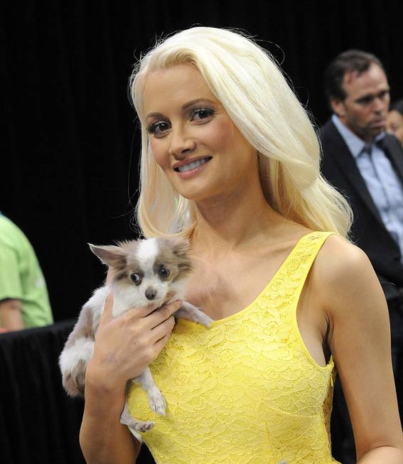 Holly Madison at the Animal Foundation's 9th Annual Best in ...