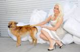 Holly Madison at 2012 Best in Show at Orleans