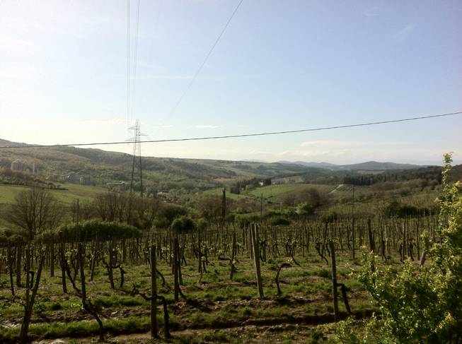 A view of the Tuscan countryside, which seems to go on forever, but of course does not.