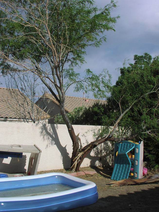 Strong winds whip through a North Las Vegas neighborhood Monday causing tree branches to break and a air conditioning unit to fall off of a home, May 7, 2012.