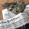 A piece of a B-25 Mitchell bomber lies on a table with printouts of New York Times newspapers from 1945 at Irv Atkins' home in Henderson on Wednesday, July 18, 2012. The artifact, from a B-25 bomber crash into the Empire State Building on July 28, 1945, was featured in a PBS TV show called "History Detectives."