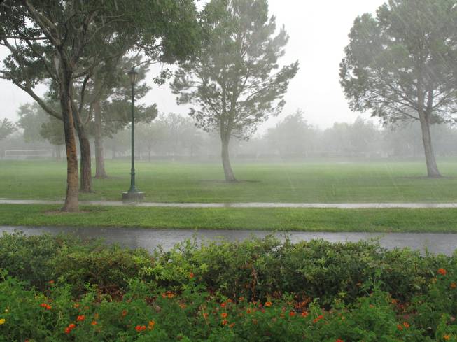 Heavy rain fell over Discovery Park in Henderson on Friday afternoon, Aug. 31, 2012