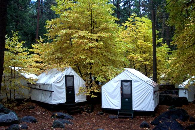 In this undated photo provided by DNC Parks and Resorts at Yosemite, Inc., are tent cabins in the fall at Yosemite National Park in California. Yosemite officials are expanding their efforts notify visitors to a complex of tent cabins who may have been exposed to a rare but potentially deadly rodent-carried virus.