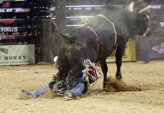 Renato Nunes of Brazil escapes serious injury after being thrown from a bull during the Built Ford Tough Series Professional Bull Riders (PBR) World Finals at the Thomas & Mack Center Sunday, Oct. 28, 2012.