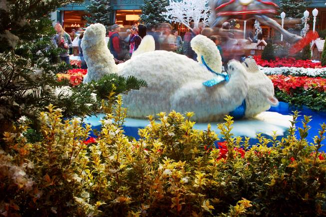 A polar bear rocks in a pond in the holiday display at the Bellagio Conservatory & Botanical Garden Friday, Dec. 7, 2012.