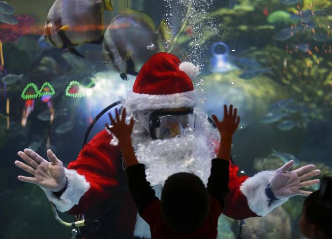 Jerry Cowley, aquatic safety manager at the Silverton Hotel-Casino interacts with children as an underwater Santa Claus, Sunday, Dec. 9, 2012, at the casino's aquarium in Las Vegas.