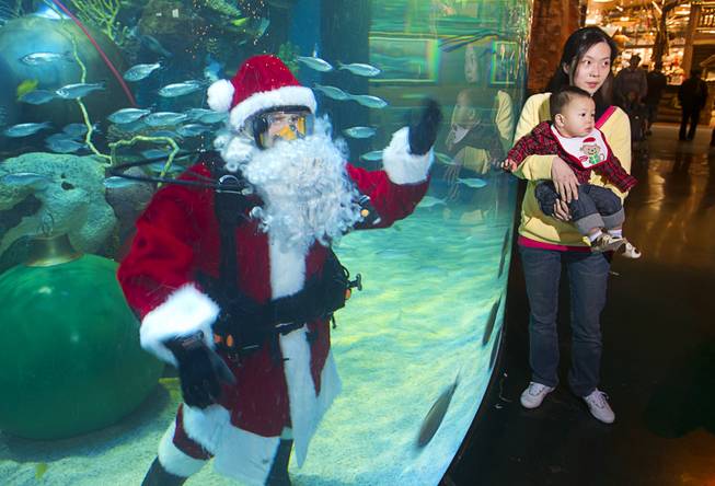 Wendy Lin poses with her son Lucas by the underwater  Santa in the Silverton's 117,000-gallon aquarium Sunday, Dec. 23, 2012. Santa took Christmas present requests from children using an underwater microphone.