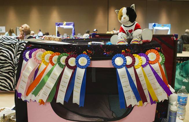 A cat crate is covered with ribbons in a competitor's area during the annual Cat A Lina Cat Club Championship Cat Show at the Riviera Sunday, Dec. 30, 2012.