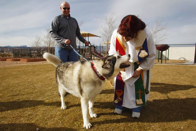 Pastor Collette Paul gives a blessing to Jake, a malamute held by Joe Papez during a "Blessing of the Pets" Saturday, Feb. 2, 2013 at Good Samaritan Lutheran Church