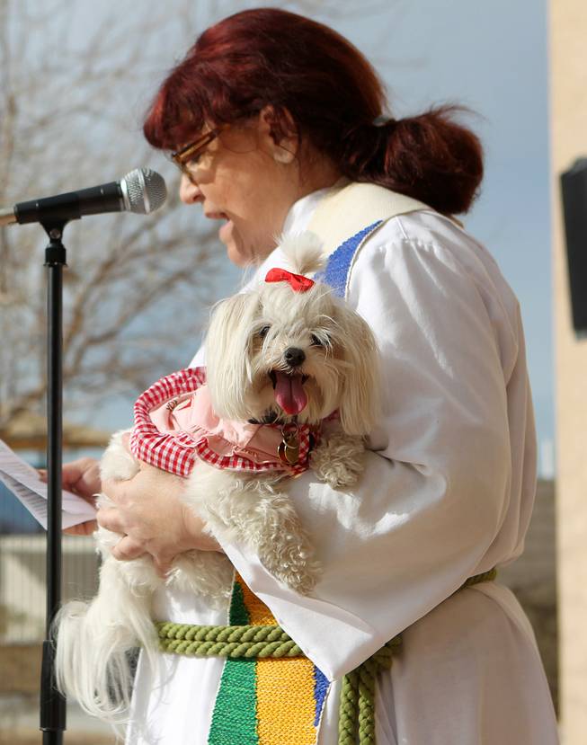 Pastor Collette Paul holds her dog Angel while delivering a scripture reading during a "Blessing of the Pets" Saturday, Feb. 2, 2013 at Good Samaritan Lutheran Church.