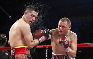 Brandon Rios, left, takes a punch from Mike Alvarado during a super lightweight bout for an interim 140lb. WBO title at the Mandalay Bay Events Center Saturday, March 30, 2013. Alvarado won the fight by unanimous decision. The fight was a rematch to a Oct. 13, 2012 fight  which Rios won.