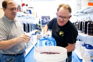 Owner Gary Hails, right, adds water to the must while helping Gene Pasinski make merlot during winemaking class held at U Bottle It in Henderson Friday, May 3, 2013.