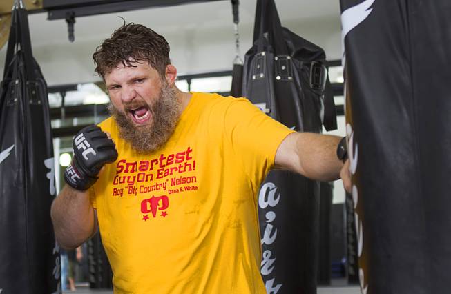 Roy Nelson Prepares for UFC 161
