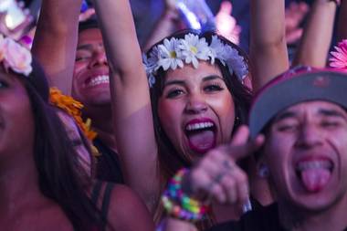 Festival-goers are shown during the third day of the Electric Daisy Carnival at the Las Vegas Motor Speedway early Monday morning, June 24, 2013.