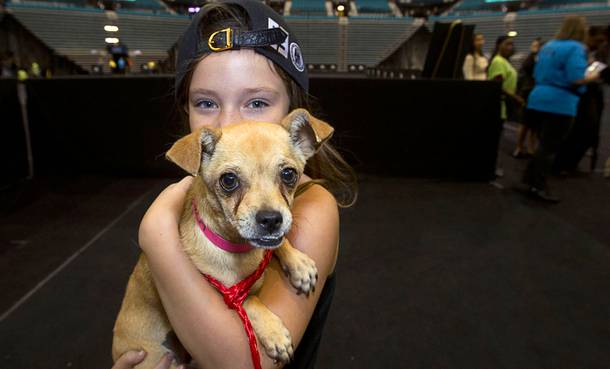 Hailey Horrowitz, 8, poses with her new dog during the annual Charlies Angels Pet Adoption Fair at the MGM Grand Garden Arena Thursday, July 11, 2013. Scott Sibella, president/COO of MGM Grand, and his wife Kim picked up the adoption fees for any MGM employee that wanted to adopt a dog or cat.