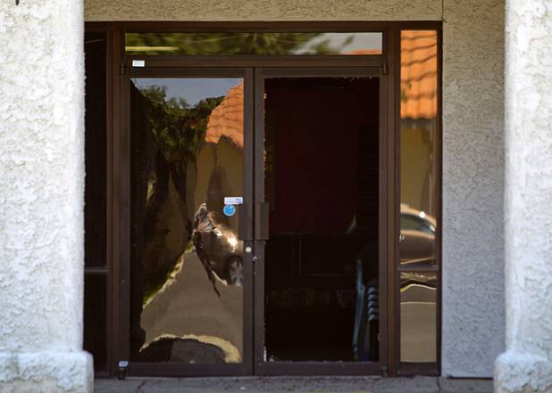 A broken door is shown at the Power Exchange sex club on Highland Drive Wednesday, July 17, 2013. Homeland Security investigators raided a warehouse space behind the Power sex club.