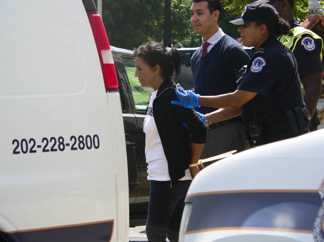 Theresa Navarro of PLAN is loaded into a police van after her arrest at a pro-immigration demonstration at House Speaker John Boehner's office in the Longworth House Office Building in Washington, D.C., on Thursday, July 31, 2013.