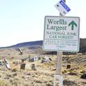 Finding Nevada: International Car Forest