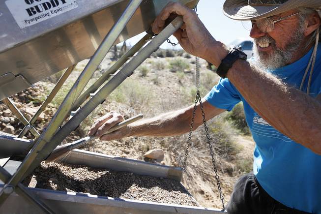 Tony Rhodes sweeps dirt material during a Gold Searchers of Southern Nevada outing at a claim near Meadview, Ariz. on Saturday, September 28, 2013.