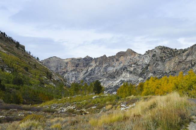 Lamoille Canyon, about 20 miles south of Elko, offers an incredible drive with breath-taking scenery, Sunday, Sept. 29, 2013.