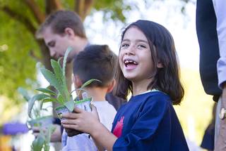 Dennisse Gonzalez, 6, holds an artichoke plant at the Boys and Girls Club, 2980 Robindale Rd., in Henderson Monday, Sept. 30, 2013. Bodies: The Exhibition,