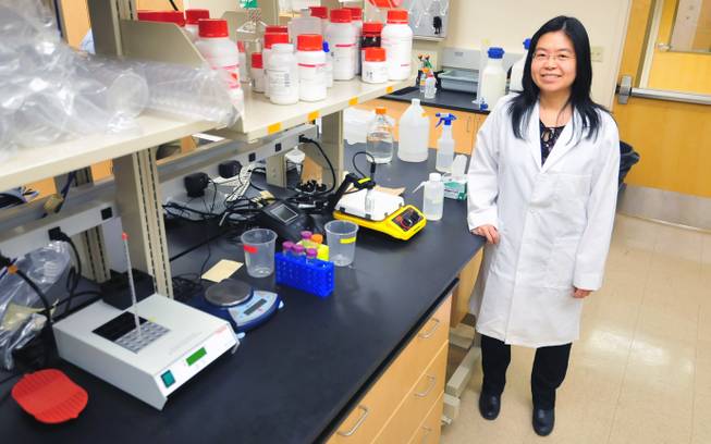UNLV researcher Kelly Tseng poses in her laboratory on Monday, Sept. 30, 2013. Tseng is researching tail regeneration in tadpoles.