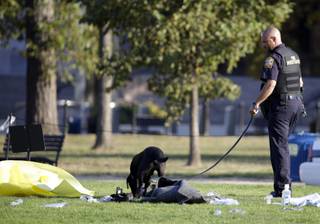 A fire investigator and K-9 dog investigate the scene on the National Mall in Washington, where, according to a fire official, a man set himself on fire Friday, Oct. 4, 2013.  The official said the man was flown by helicopter to a hospital. 