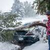 Zack Ruml, 20, of Rapid City, S.D, lifts a heavy crab apple tree branch off of his 1998 Pontiac Gran Prix on Friday, Oct. 4, 2013. The branch smashed the rear window and dented the trunk of the car. 