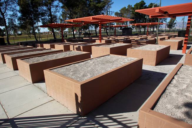 These are some of the 62 raised beds in the community garden at the soon to open Craig Ranch Park in North Las Vegas Tuesday, October 15, 2013,