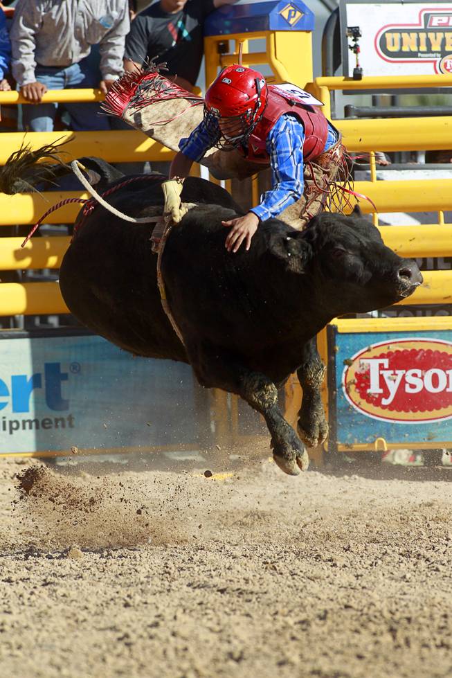 Matthew Pinon,13, of Odessa, Texas tries to hang on to his bull during the Chris Shivers Miniature Bull Riding (MBR) World Finals at Mandalay Bay Thursday, Oct. 24, 2013. The MBR features junior riders ages 8 to11 and senior riders ages 12 to 14. The event was part of the the 2013 Professional Bull Riders Built Ford Tough World Finals.