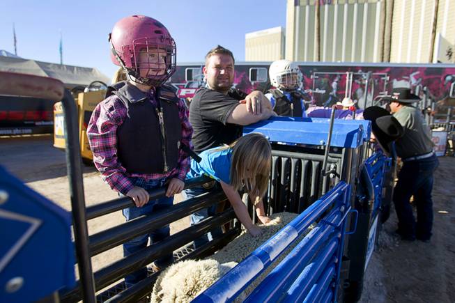 Ainslea Ray Hayes, 4, of Grandbury, Texas waits to compete during a Mutton Bustin' competition at the Tyson Fan Zone & Marketplace at Mandalay Bay Thursday, Oct. 24, 2013. The event was part of the the 2013 Professional Bull Riders Built Ford Tough World Finals.