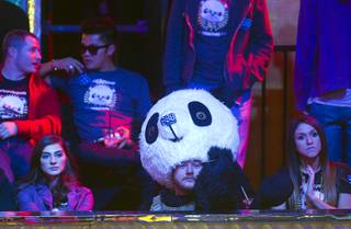 A supporter of Jay Farber, dressed in a panda costume, watches play during the final table of the World Series of Poker $10,000 buy-in no-limit Texas Hold 'Em tournament at the Rio Monday, Nov. 4, 2013.