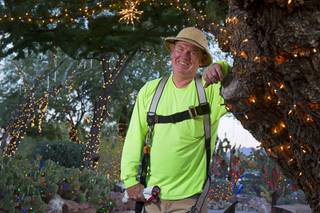 Steve Bowdoin, caretaker of the Botanical Cactus Garden at Ethel M Chocolate Factory, takes a break from stringing lights at the garden Wednesday, Nov. 6, 2013. The 20th annual holiday lighting display will kick off with a ceremony next Tuesday.