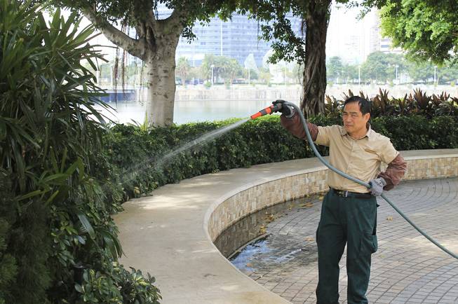 A landscaper tends to the bushes in downtown Macau.