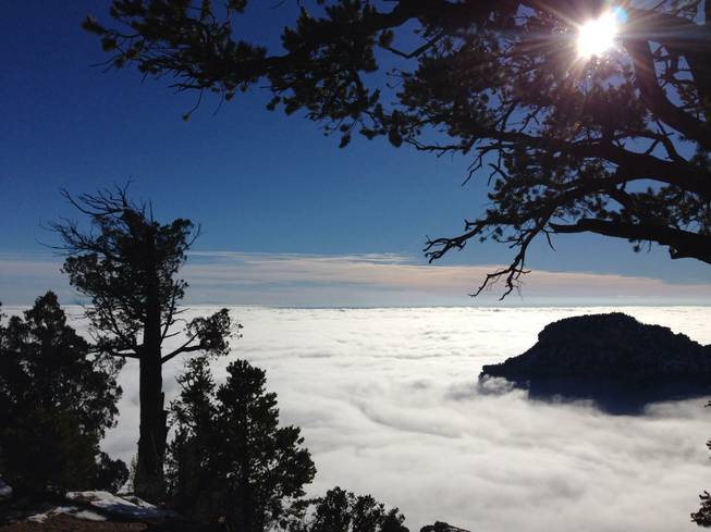 A photo of the recent inversion, where warm air traps cooler, moist air in the canyon, taken from the North Rim of the Grand Canyon. Photo courtesy of the National Park Service
