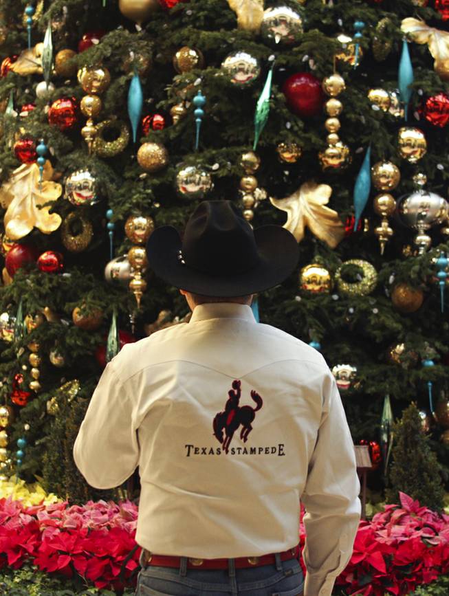 A cowboy admires the 42' Christmas tree at the Bellagio Conservatory prior to the tree lighting ceremony Friday, Dec. 6, 2013.
