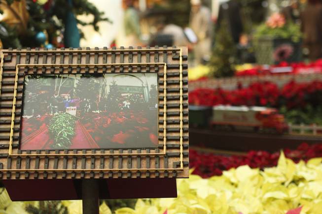 A screen shows a live video feed from the miniture trains at the Bellagio Conservatory prior to the tree lighting ceremony Friday, Dec. 6, 2013.