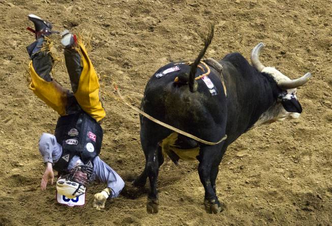Bull Rider Trevor Kastner is upended leaving a bull during the Wrangler National Finals Rodeo Go-Round Day 3 at the Thomas & Mack Center in Las Vegas, Nevada, on Saturday,  Dec. 7, 2013.
