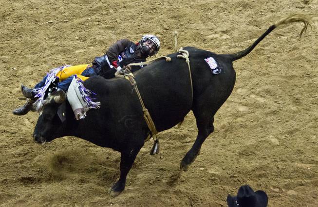 Bull Rider Shane Proctor begins to fall from a bull during the Wrangler National Finals Rodeo Go-Round Day 3 at the Thomas & Mack Center in Las Vegas, Nevada, on Saturday,  Dec. 7, 2013.