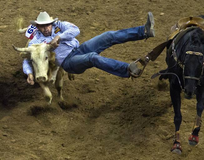 Steer wrestler K.C. Jones leaves his horse to take down a steer during the Wrangler National Finals Rodeo Go-Round Day 3 at the Thomas & Mack Center in Las Vegas, Nevada, on Saturday,  Dec. 7, 2013.
