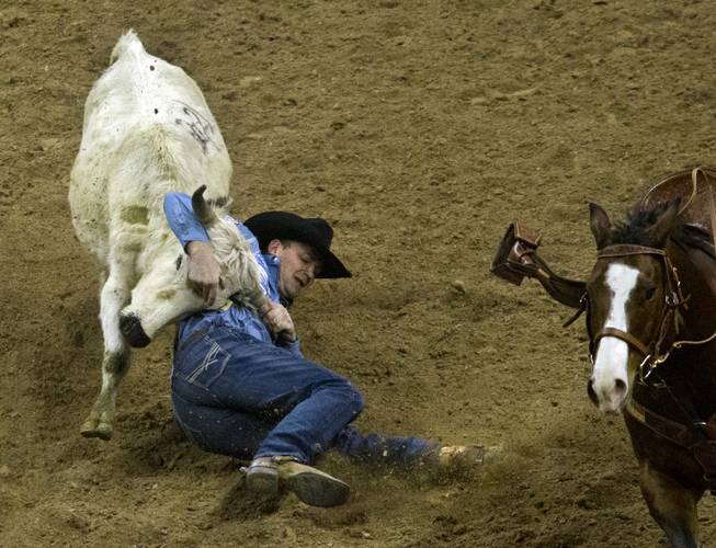 Steer wrestler Casey Martin works to overturn a steer during the Wrangler National Finals Rodeo Go-Round Day 3 at the Thomas & Mack Center in Las Vegas, Nevada, on Saturday,  Dec. 7, 2013.