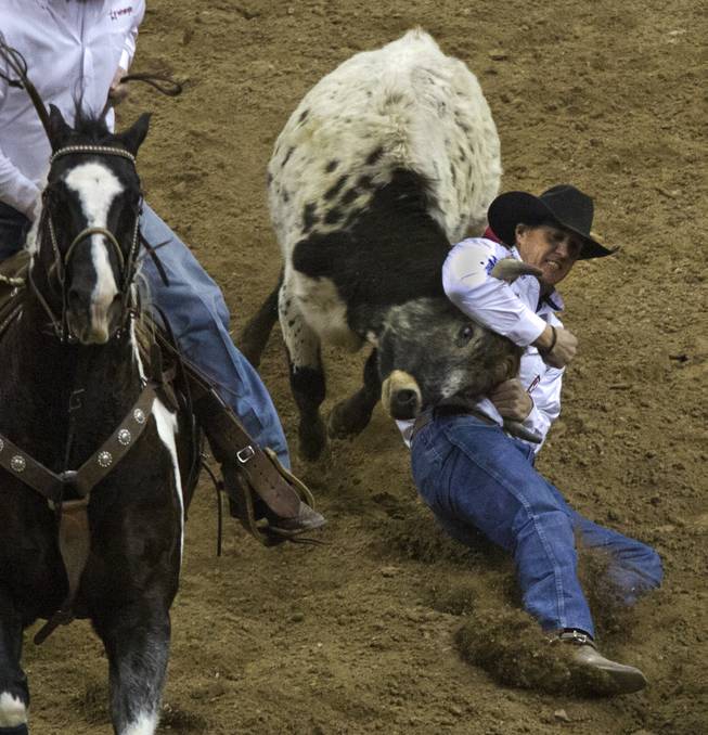 Steer wrestler Trevor Knowles works hard to overturn a steer during the Wrangler National Finals Rodeo Go-Round Day 3 at the Thomas & Mack Center in Las Vegas, Nevada, on Saturday,  Dec. 7, 2013.